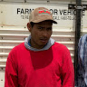 Meet your Posher, Waldemar